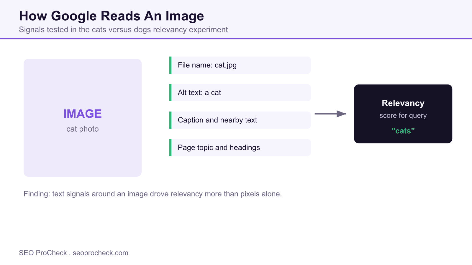 Diagram showing how Google uses file name, alt text, caption and page topic to score an image for query relevancy in the cats versus dogs experiment.
