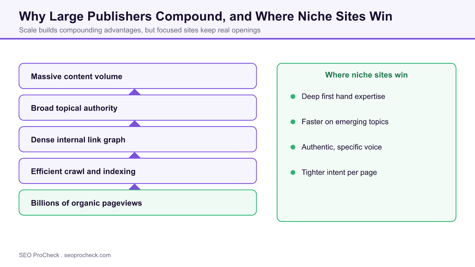 Diagram showing how large publishers compound scale advantages while niche sites win on expertise, speed, and voice.