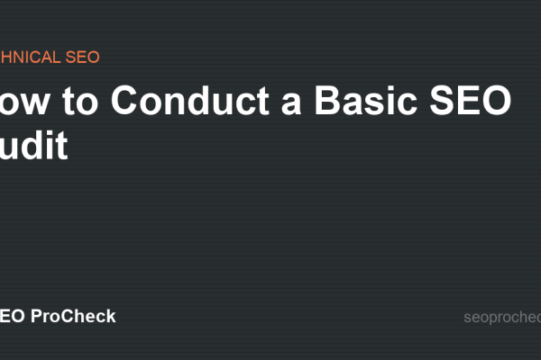 How to Conduct a Basic SEO Audit