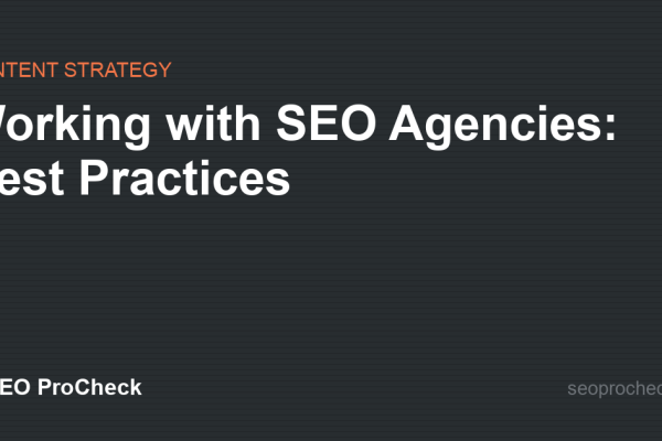 Working with SEO Agencies: Best Practices