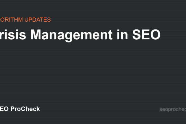 Crisis Management in SEO