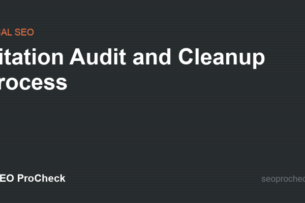 Citation Audit and Cleanup Process