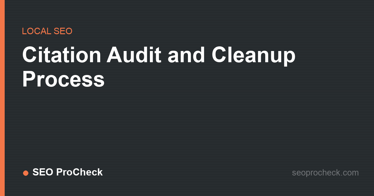 Citation audit and cleanup process
