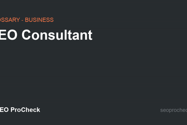 SEO Consultant