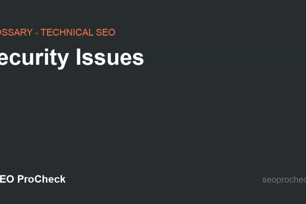 Security Issues