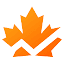 Tk icon seo pro extension 1